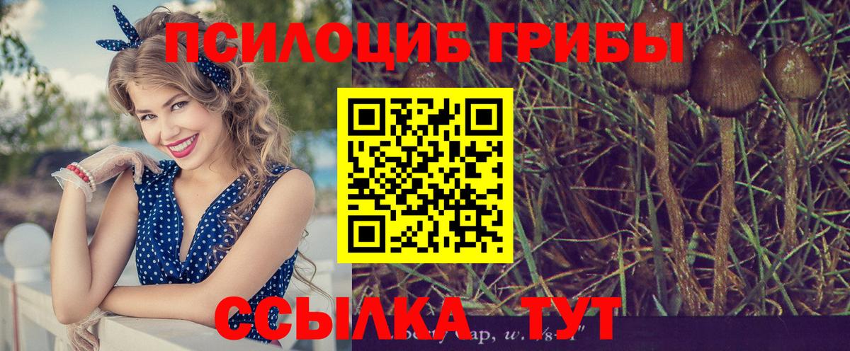 Псилоцибиновые грибы мицелий  Вход с VPN  цены наркотик  Каменск-Уральский 